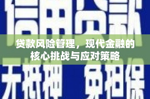 荔湾贷款风险管理，现代金融的核心挑战与应对策略