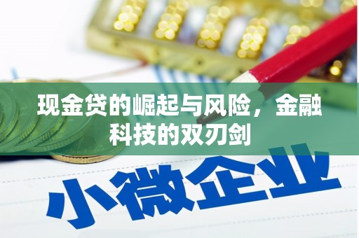 荔湾现金贷的崛起与风险，金融科技的双刃剑