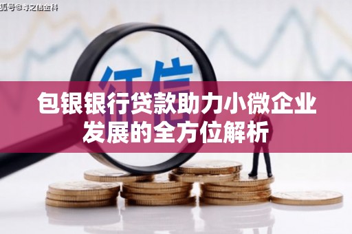 荔湾包银银行贷款助力小微企业发展的全方位解析