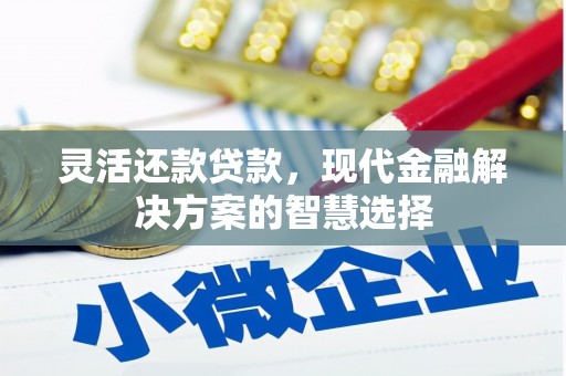 荔湾灵活还款贷款，现代金融解决方案的智慧选择