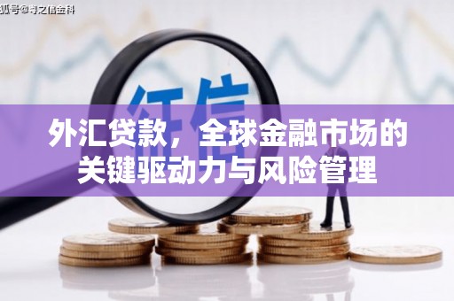 荔湾外汇贷款，全球金融市场的关键驱动力与风险管理