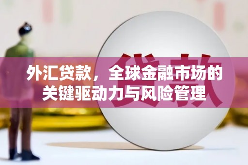 荔湾外汇贷款，全球金融市场的关键驱动力与风险管理