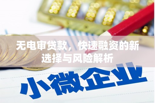 荔湾无电审贷款，快速融资的新选择与风险解析