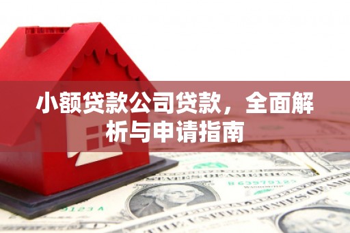 荔湾小额贷款公司贷款，全面解析与申请指南