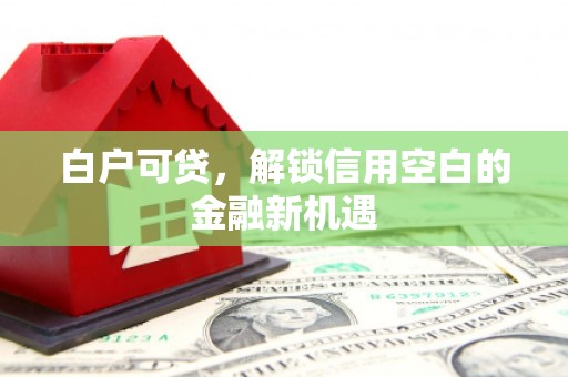 荔湾白户可贷，解锁信用空白的金融新机遇