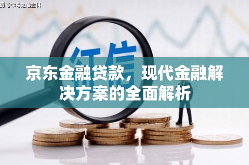 荔湾京东金融贷款，现代金融解决方案的全面解析