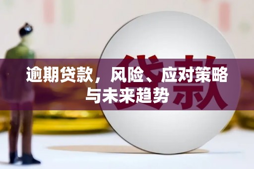 荔湾逾期贷款，风险、应对策略与未来趋势