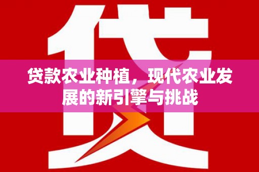 荔湾贷款农业种植，现代农业发展的新引擎与挑战