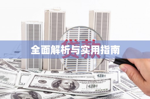 荔湾全面解析与实用指南