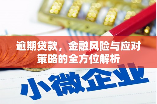 荔湾逾期贷款，金融风险与应对策略的全方位解析