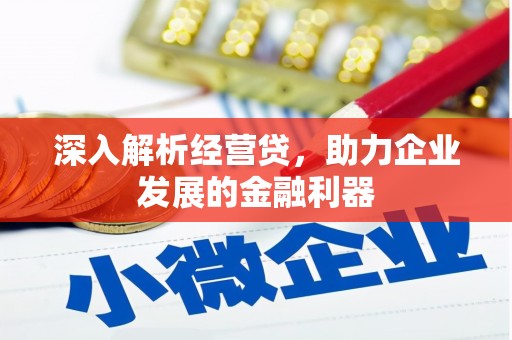 荔湾深入解析经营贷，助力企业发展的金融利器