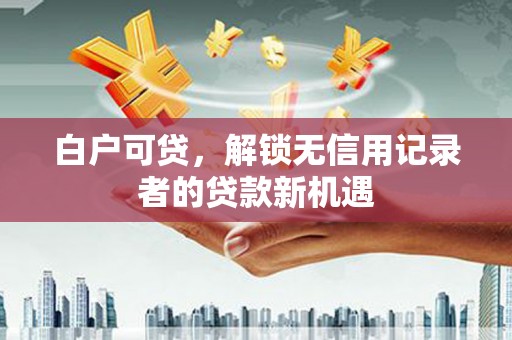 荔湾白户可贷，解锁无信用记录者的贷款新机遇