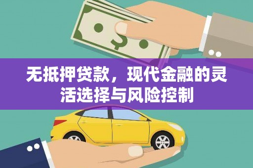荔湾无抵押贷款，现代金融的灵活选择与风险控制