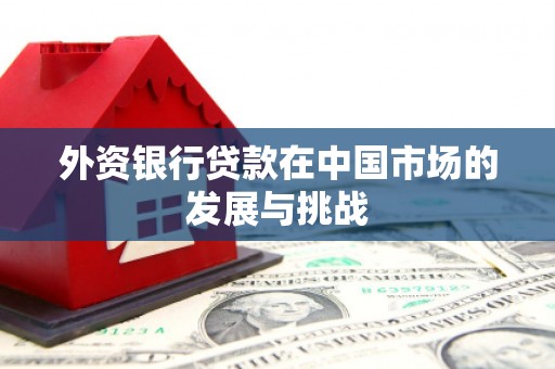 荔湾外资银行贷款在中国市场的发展与挑战