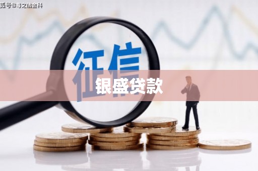 荔湾银盛贷款