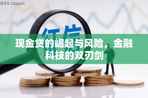 荔湾现金贷的崛起与风险，金融科技的双刃剑
