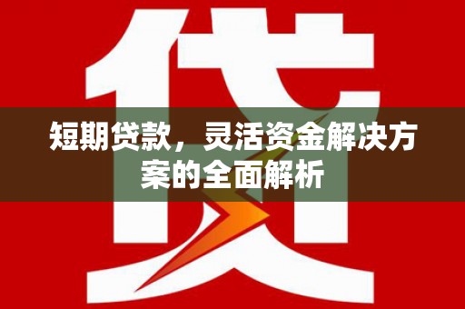 荔湾短期贷款，灵活资金解决方案的全面解析