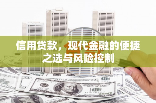 荔湾信用贷款，现代金融的便捷之选与风险控制