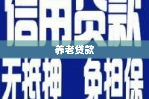 荔湾养老贷款