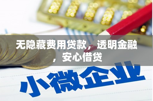 荔湾无隐藏费用贷款，透明金融，安心借贷