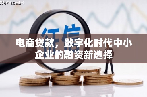 荔湾电商贷款，数字化时代中小企业的融资新选择