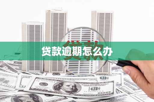 荔湾贷款逾期怎么办