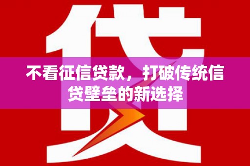荔湾不看征信贷款，打破传统信贷壁垒的新选择