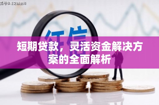 荔湾短期贷款，灵活资金解决方案的全面解析
