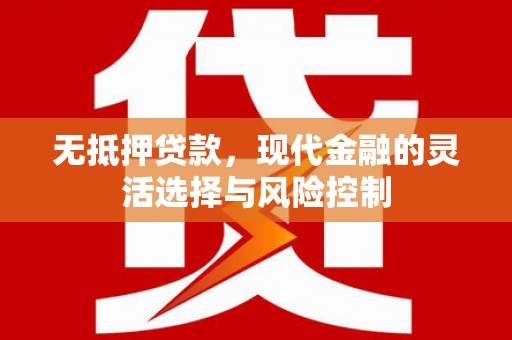 荔湾无抵押贷款，现代金融的灵活选择与风险控制