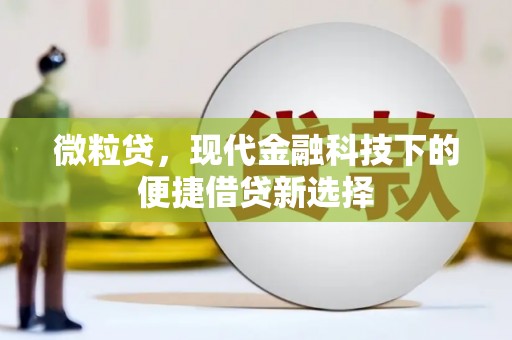 荔湾微粒贷，现代金融科技下的便捷借贷新选择