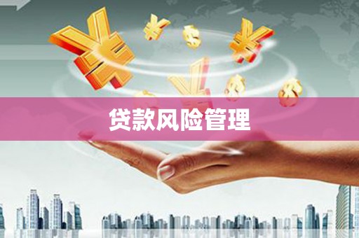 荔湾贷款风险管理