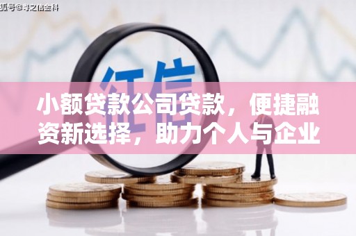 荔湾小额贷款公司贷款，便捷融资新选择，助力个人与企业成长