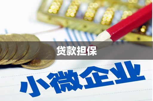 荔湾贷款担保