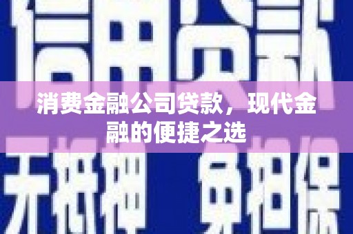 荔湾消费金融公司贷款，现代金融的便捷之选