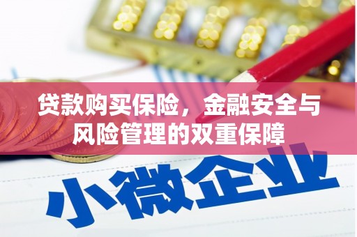 荔湾贷款购买保险，金融安全与风险管理的双重保障