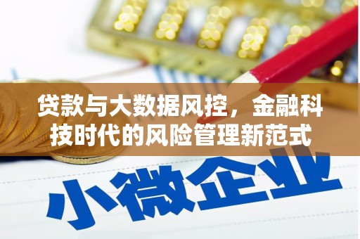荔湾贷款与大数据风控，金融科技时代的风险管理新范式