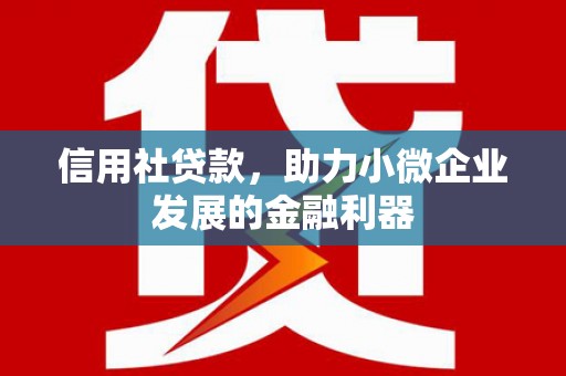 荔湾信用社贷款，助力小微企业发展的金融利器