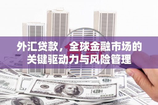 荔湾外汇贷款，全球金融市场的关键驱动力与风险管理
