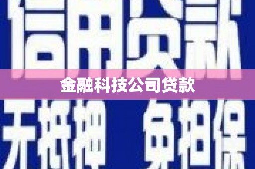 荔湾金融科技公司贷款