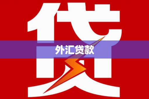 荔湾外汇贷款