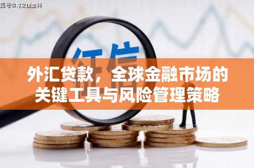 荔湾外汇贷款，全球金融市场的关键工具与风险管理策略