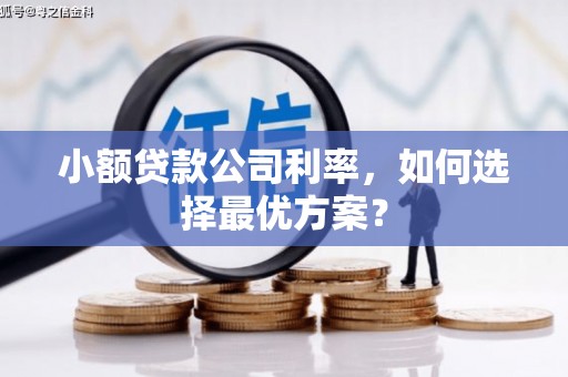 荔湾小额贷款公司利率，如何选择最优方案？