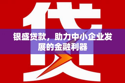 荔湾银盛贷款，助力中小企业发展的金融利器