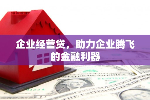 荔湾企业经营贷，助力企业腾飞的金融利器