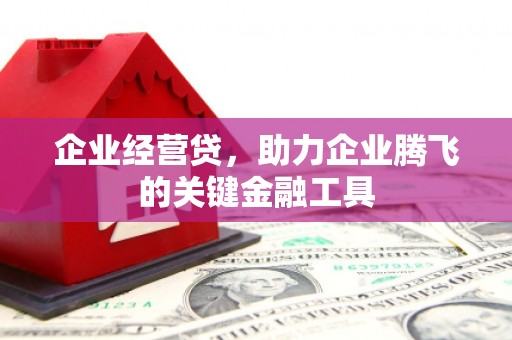 荔湾企业经营贷，助力企业腾飞的关键金融工具