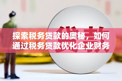 荔湾探索税务贷款的奥秘，如何通过税务贷款优化企业财务