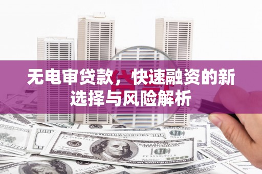 荔湾无电审贷款，快速融资的新选择与风险解析