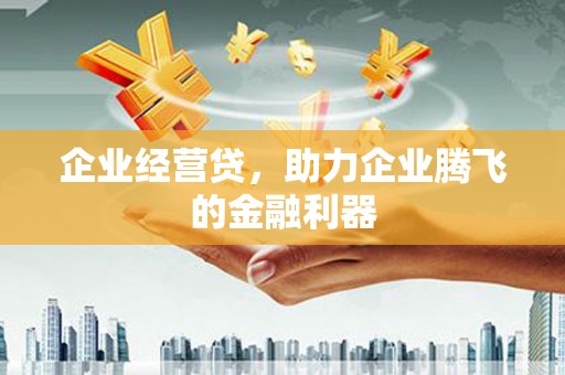 荔湾企业经营贷，助力企业腾飞的金融利器