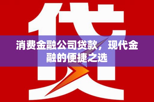 荔湾消费金融公司贷款，现代金融的便捷之选