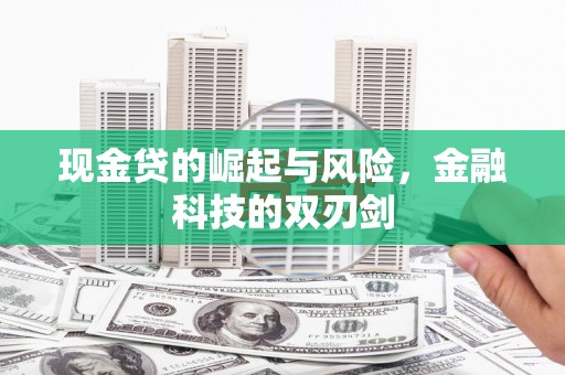 荔湾现金贷的崛起与风险，金融科技的双刃剑